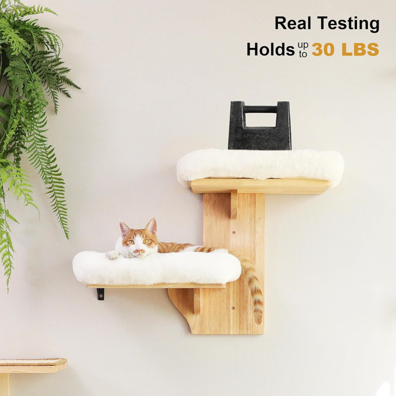 2 meubles de chats de plate-forme, tablette flottante pour chaton en forme d'arbre avec coussin moelleux