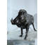 Statue de sanglier Nifao en aluminium avec fourrure texturée et position puissante - Décoration rustique pour animaux - 46 po x 12 po x H 30 po