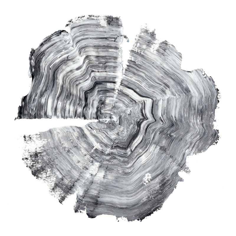 «Tree Ring Abstract IV» par Ethan Harper, reproduction d'art sur toile, H 30 po x l 30 po, Toile tendue