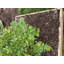 Lit de jardin surélevé en bois 3 pi x 3 pi
