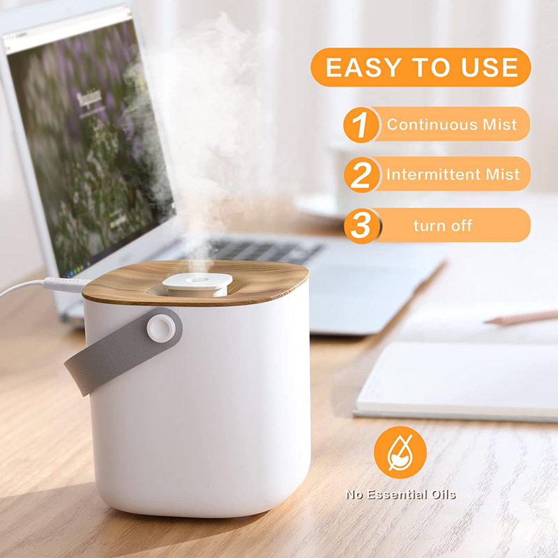 C&g Home Dual Mist Steam Tabletop Humidifier with Adjustable Humidistat for 20 Cubic Feet