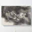 Dragon by Zhang Zeduan - Wrapped Canvas-55342778