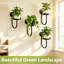 1 Tier Plant Stand Set of 4
