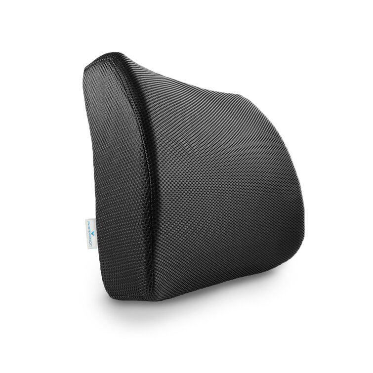 LOVEHOME Lumbar Support Pillow for Chair and Car, Back Support for Office  Chair Memory Foam Cushion with Mesh Cover for Back Pain Relief -Azure