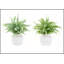 Ensemble de 2 brins d'eucalyptus artificiels, 40 cm de hauteur, dans des pots blancs modernes pour une décoration de table contemporaine.