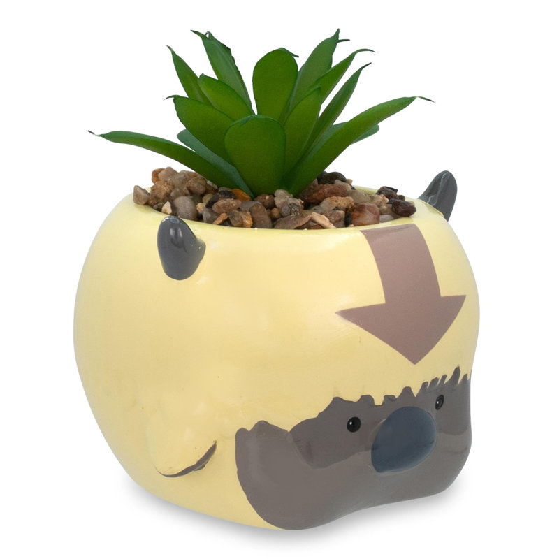 Plante grasse artificielle 5,5 po en pot