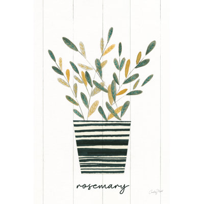 Herb Garden V 1 Piece Wrapped Canvas Painting