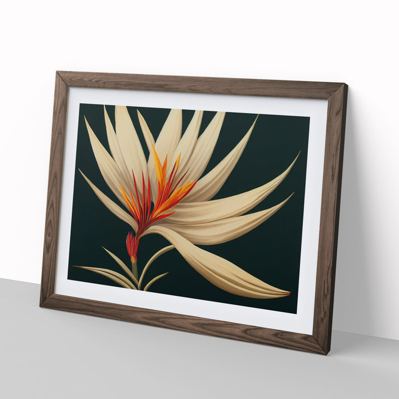 XH1022-8893X The Bird Of Paradise Flower Vol.4 1 Piece Single Picture Frame Wall Art, 25cm H x 34cm W x 2cm D, Walnut Framed
