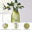 Benildis Glass Table Vase