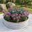 Raised Garden Bed Kit - Metal Raised Bed Garden For Flower Planters, Vegetables Herb-2053839978