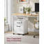 Annya 2 Drawer Filing Cabinet-109487379