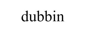 Logo Dubbin