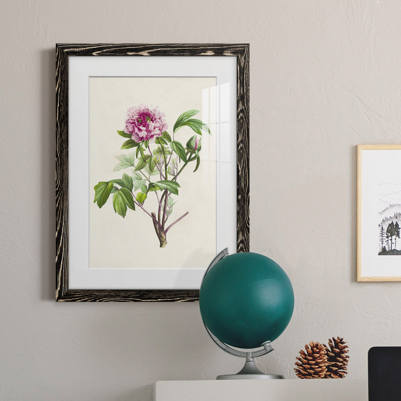 «Pretty Botanicals V», cadre photo, H 44 po x l 31 po x P 1 po, Cadre noir