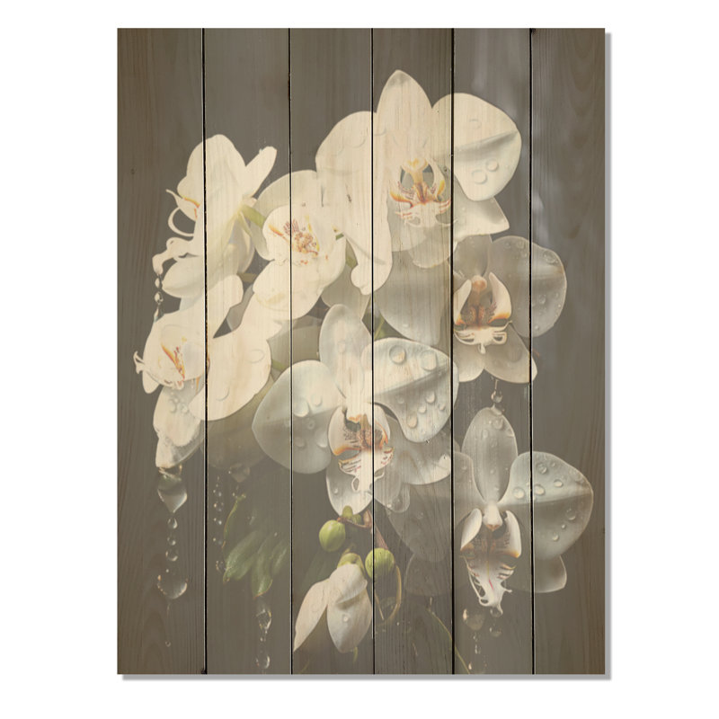 Orchidées blanches, pétales d'élégance - art sur bois de pin naturel, H 40 po x l 30 po