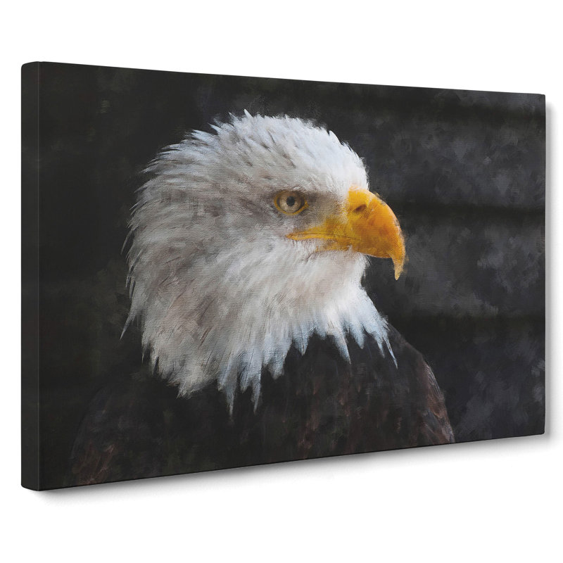 Bald Eagle Vol.2 - Wrapped Canvas, 40cm H x 60cm W x 3cm D