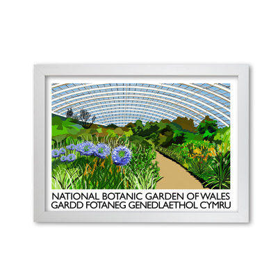 National Botanic Garden Of Wales by Richard O'Neill - Single Picture Frame Print
