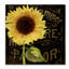 "Jadaya Sunflower Salon I" par Color Bakery, impression sur toile tendue-20507728