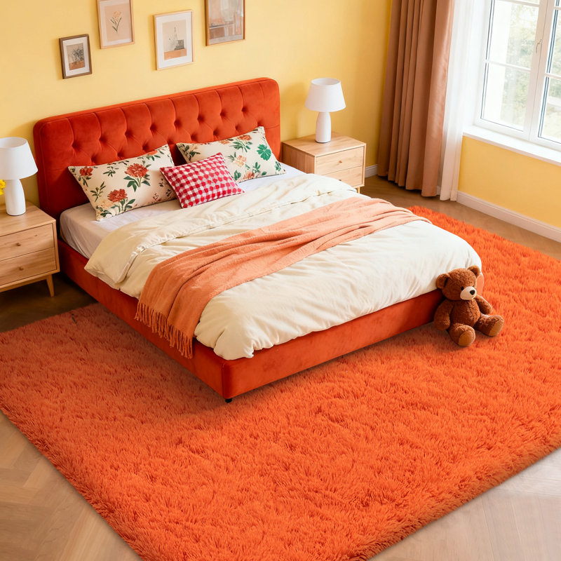 6x9 ft Shag Rugs for Living Room, Soft Orange Area Rug, Non-Slip Carpet for Bedroom Nursery Kids Play Room Dorm Office