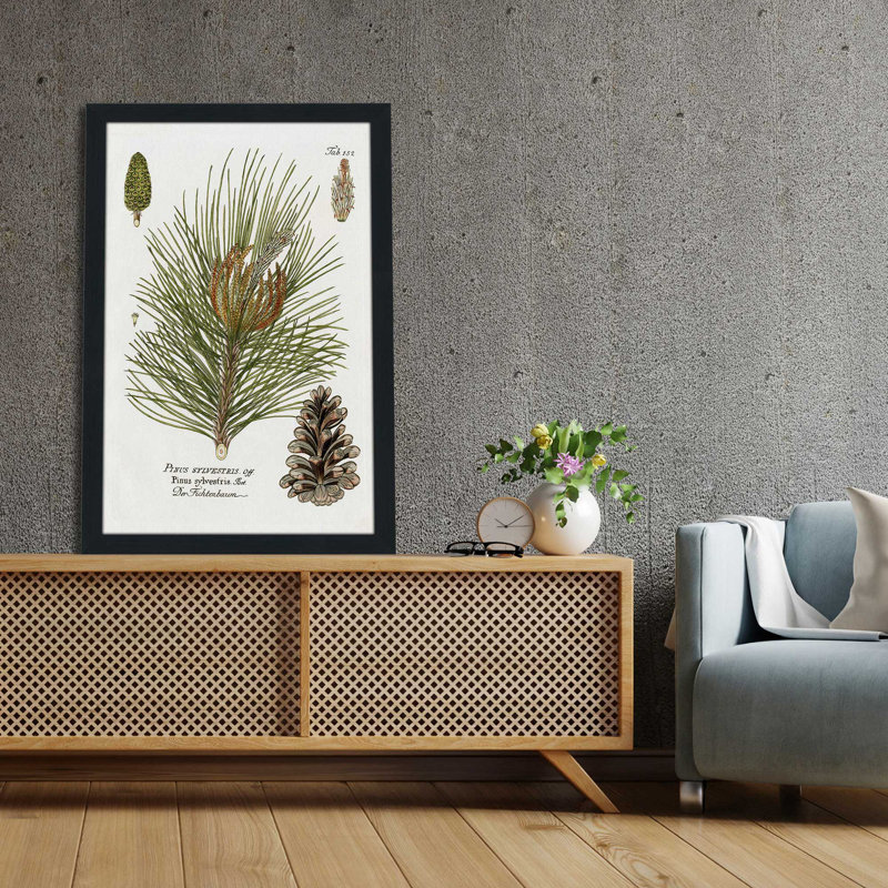 Épinette botanique par Kelly Donovan - Peinture, L 27,5 po x H 39,5 po, Cadre noir