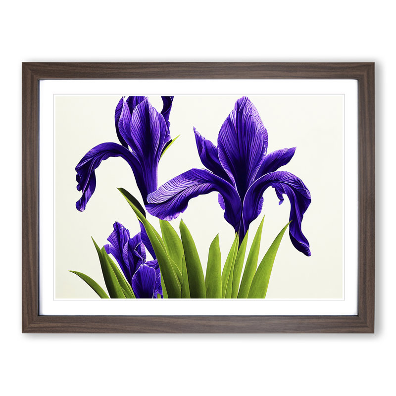 Spectacular Iris Flowers - Framed Print, 25cm H x 34cm W x 2cm D, Walnut