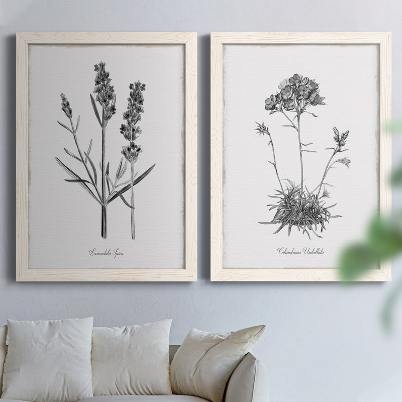 Simply Lavender - Ensemble de 2 peintures sur toiles encadrées, Blanc, H 20 po x l 34 po x P 1,5 po