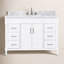 Bristol 49'' W Single Vanity-1577743114