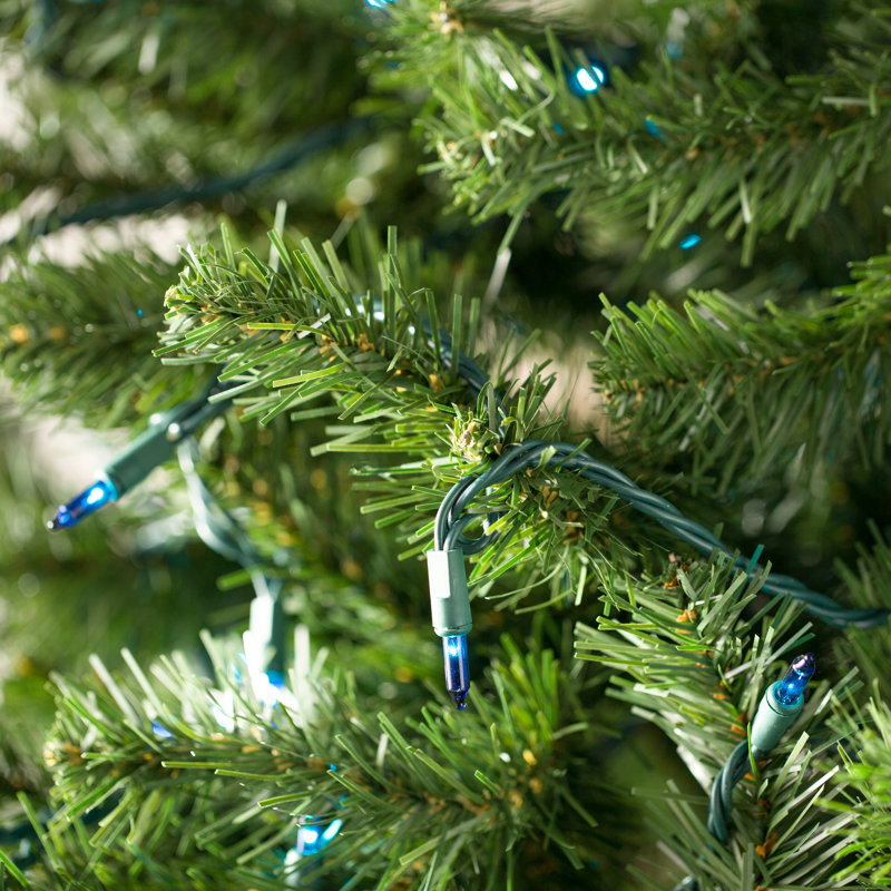 606'' String Lights, Blue