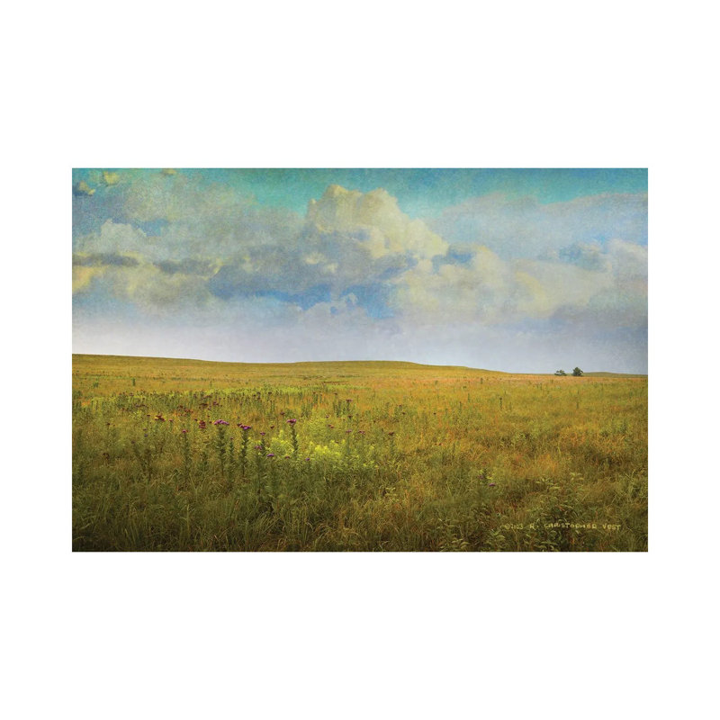 Tallgrass Prairie - reproduction d'art murale - toile encadrée, H 12 po x l 18 po, Toile tendue, Ne s’applique pas