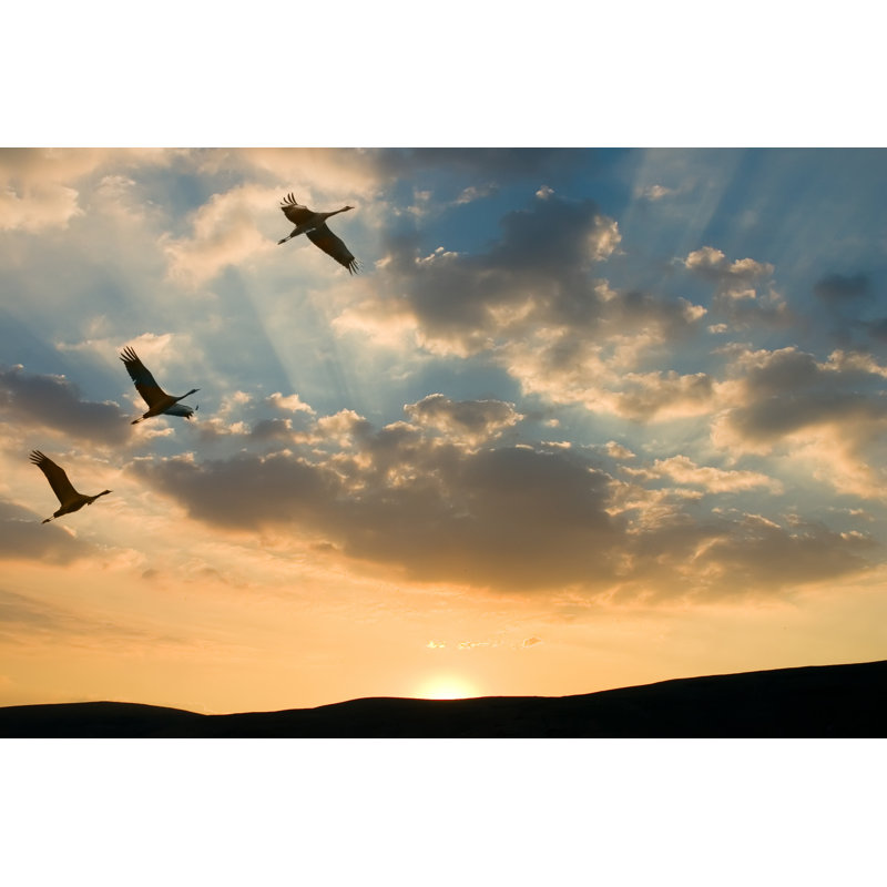 Mission To Sunset by Pavelr28 - Wrapped Canvas Print, 30cm H x 46cm W