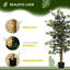 130cm Faux Ficus Tree in Cement Pot
