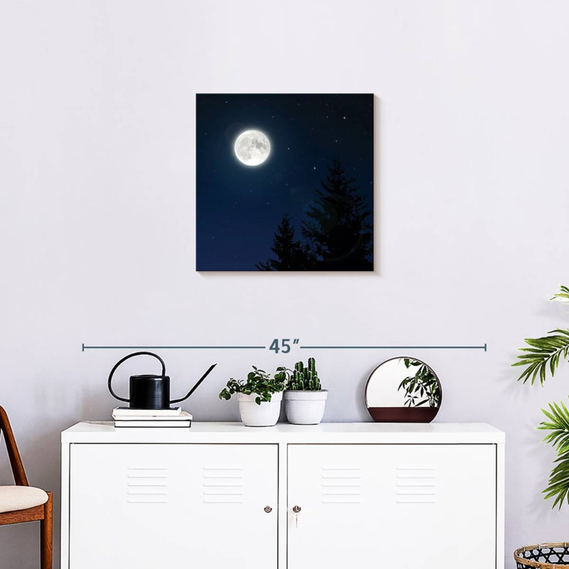 Oberle White Full Moon, 20" H x 20" W