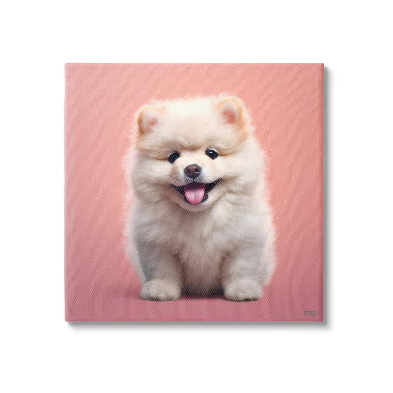 Chiot moelleux sur toile rose par RB, H 30 po x l 30 po