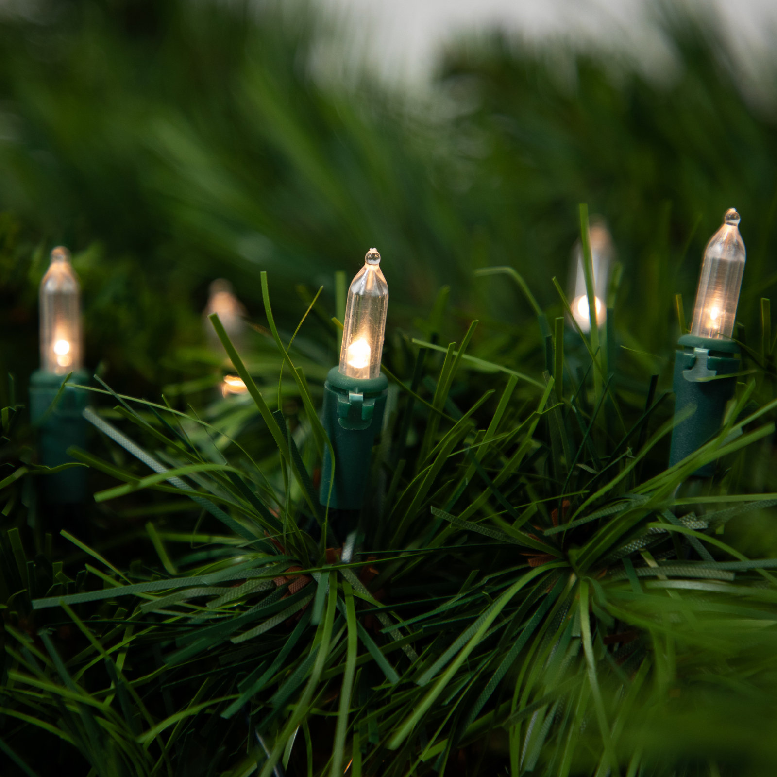 50-Count Battery-Operated LED Mini Lights
