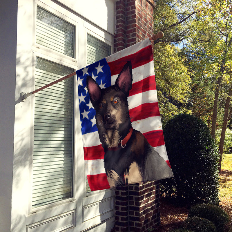 Polyester à 2 côtés 28 x 40 po drapeau maison, Kelpie australien