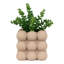 Boneita Pot Planter