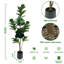 Plant-1491015265