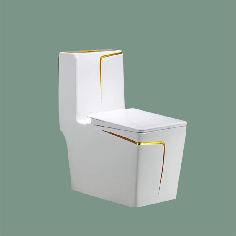 Toilette allongée une pièce, siège inclus