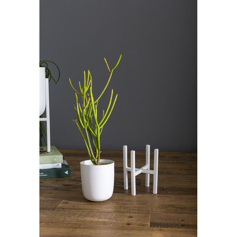 Pot à fleurs en métal Hailee, H 7,25 po x l 4 po x P 4 po