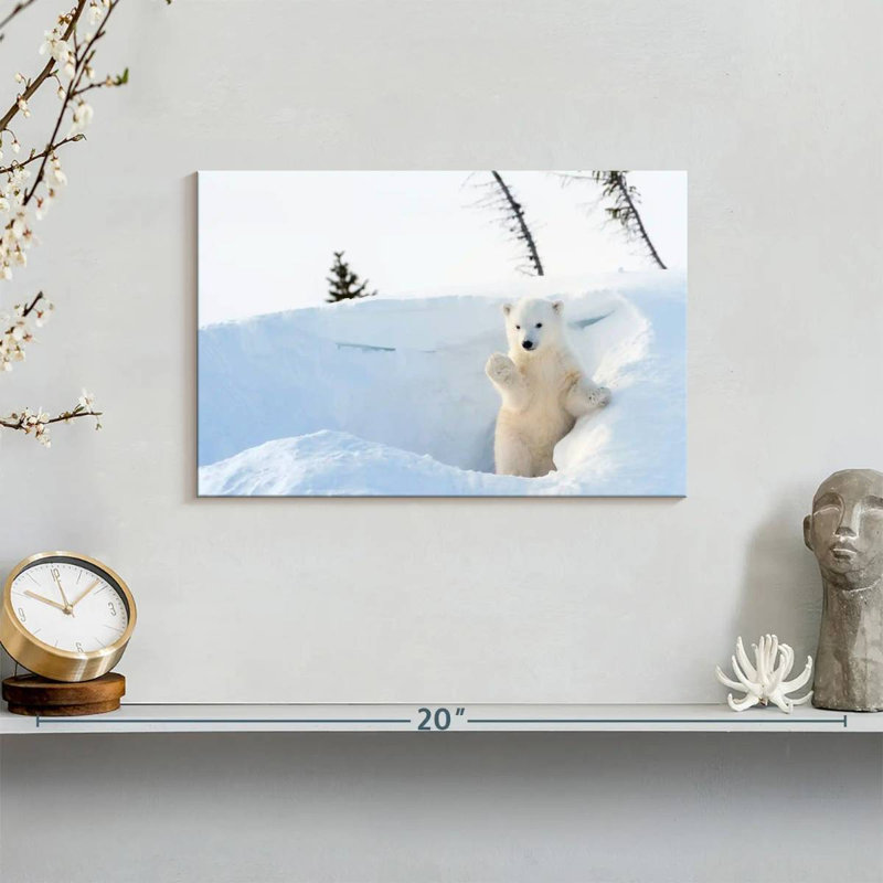 Brampt Polar Bear Cub Greeting, 8" H x 12" W