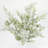 Delphinium Arrangement