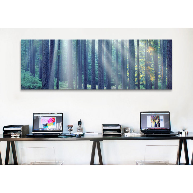 Lumières du soleil passant par des arbres panoramiques dans la forêt, south bohemia, tchèque, reproduction de photo sur toile tendue