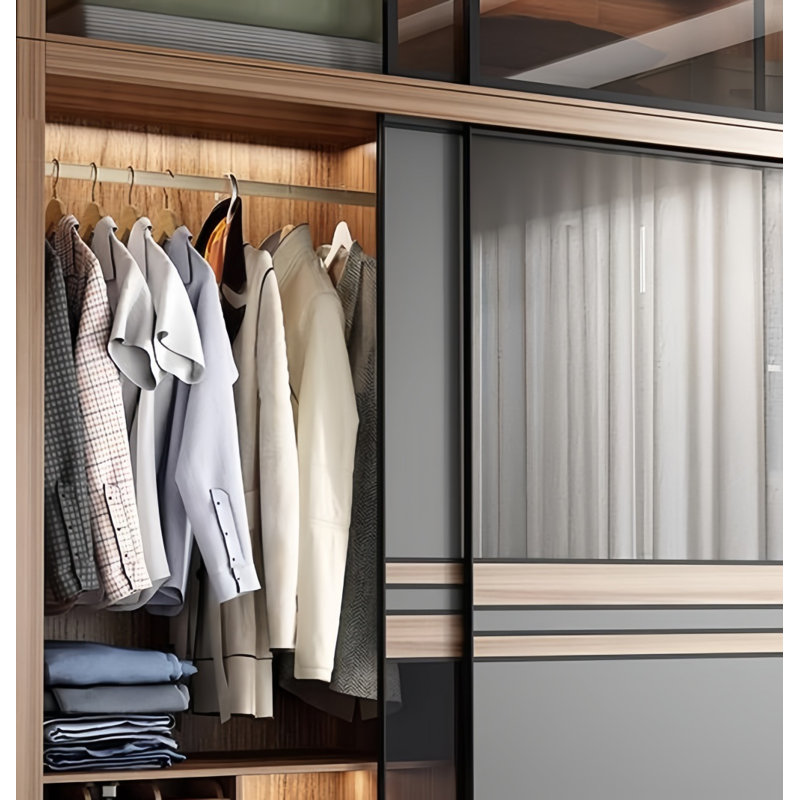 Modern Simple Glass Wardrobe