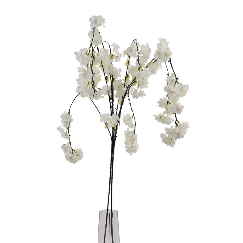 Anastasija Arrangement