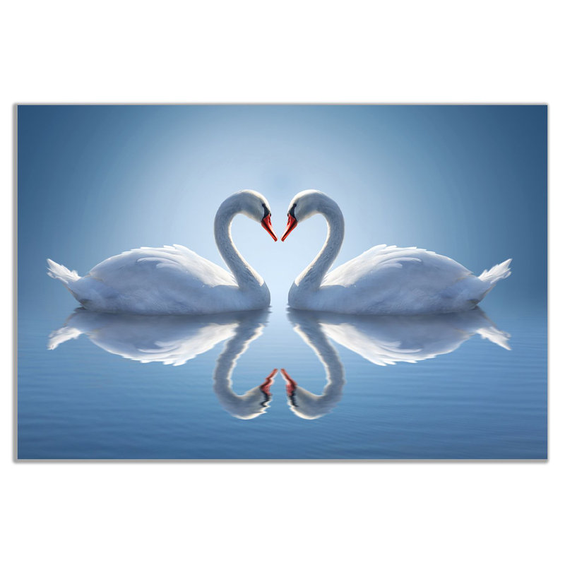 Two Swans Make Up A Heart Reflected On Water - Wrapped Canvas Print, 41cm H x 61cm W