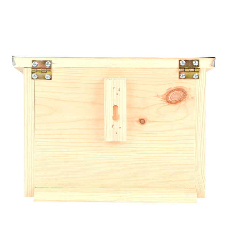Observation Squirrel Feeder Fsc 100%
