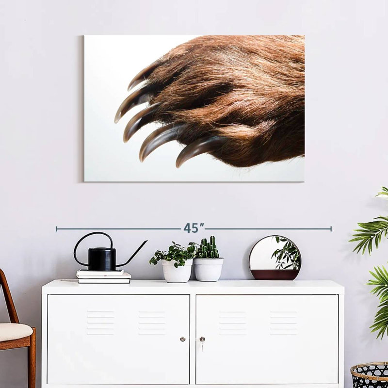 Brampt Brown Bear Claws, 24" H x 36" W