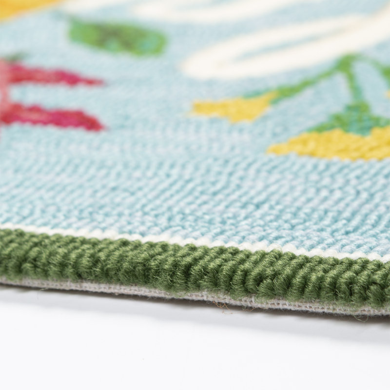 Adymn Hand Hooked Indoor / Outdoor Rug, Rectangle 2' x 4'