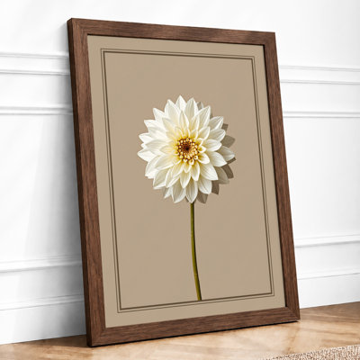 White Dahlia Study Botanical - Print
