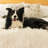 PupProtector Waterproof Throw Blanket-103957277-69271855