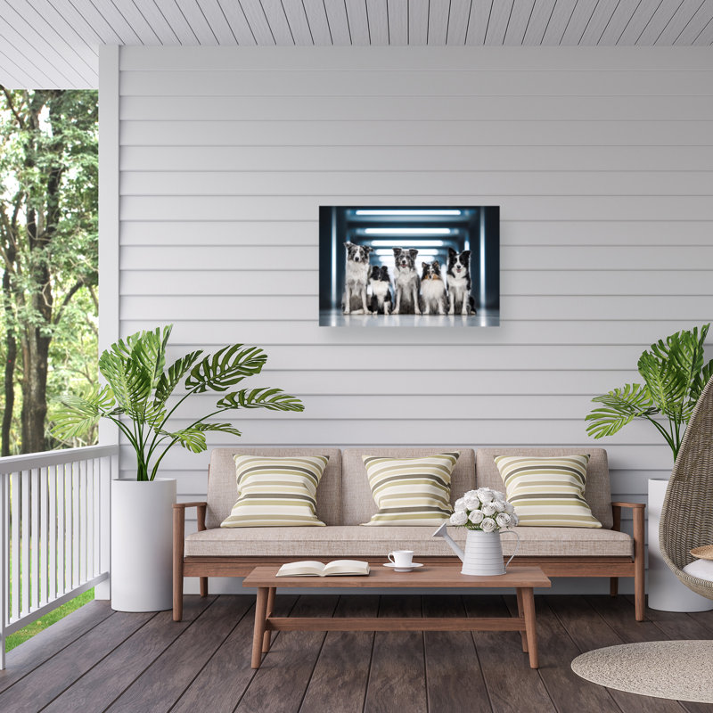 Toile pour l'extérieur Natalie Grosse Aussie, H 12 po x l 19 po